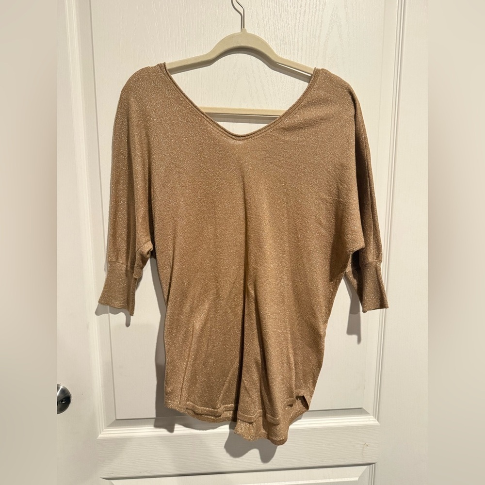 Express Shimmering Tan Long Sleeve Top